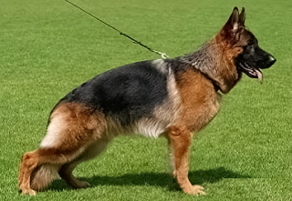 2-