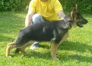 Barko-. (2)