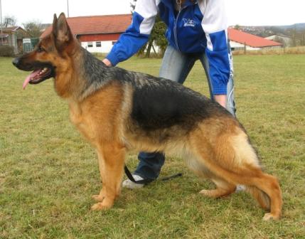 chira