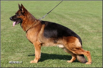 ober-von-bad-boll_360